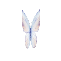 Blue-Butterfly_front.gif