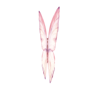 Pink-Butterfly_front.gif