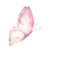 Pink-Butterfly_side.gif